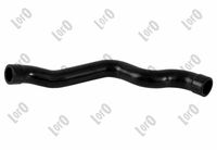 Hose, crankcase ventilation