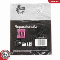 SET REPARAT CABLURI SUPAPă INJECțIE (INJECțIE UREE)