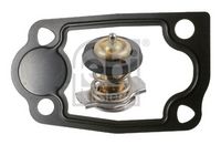 Thermostat, Kühlmittel