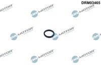 Blīve, Dzesēšanas šķidruma flancis DRM03465 Dr