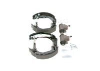 BOSCH Remschoenset 4