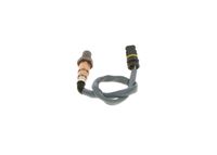 Article Picture