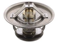 Thermostat, Kühlmittel