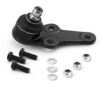 Trag-/Führungsgelenk