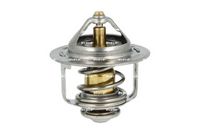 Thermostat, Kühlmittel