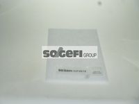 Филтър купе (поленов филтър)