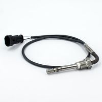 Sensor, Abgastemperatur