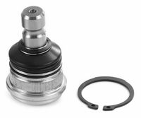 Trag-/Führungsgelenk