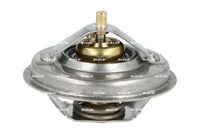 Thermostat, Kühlmittel