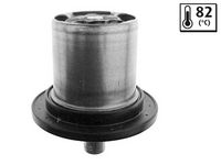 Thermostat, Kühlmittel