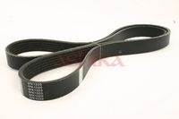 Curea transmisie cu caneluri ASHIKA, Cod: 112-6PK1320