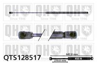 Gasfeder, Koffer-/Laderaum