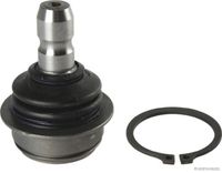 Trag-/Führungsgelenk