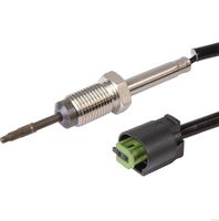 Sensor, Abgastemperatur