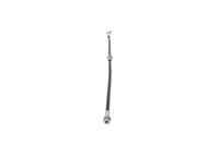 Article Picture