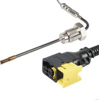 Sensor, Abgastemperatur