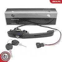 Exterior Door Handle