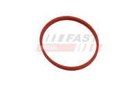 Blīve, EGR vārsta cauruļvads FT49868 FAST