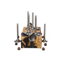 Thumbnail - Kleppenset, in-/uitlaatklep - VS0009 - ET ENGINETEAM