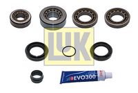 Reparatursatz, Differential