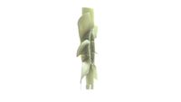 Thumbnail - Koelventilatorwiel - CFW69000P - MAHLE