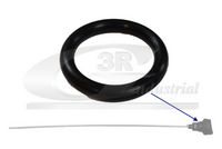 GARNITURA CAPAC ALIMEMTARE ULEI