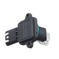 DELPHI Luchtmassameter 5