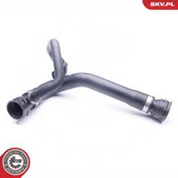 Article Picture