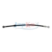 Halter, Bremsschlauch