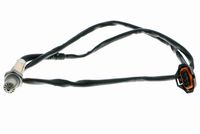 ламбда-сонда