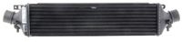 Thumbnail - Intercooler, inlaatluchtkoeler - CI373000P - MAHLE