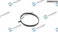 Blīve, Droseļvārsta īscaurule DRM02638 Dr.Motor