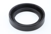 Article Picture