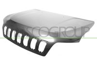 Capota motor PRASCO, Cod: JE2023110