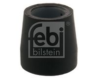 Lagerbuchse, Blattfeder