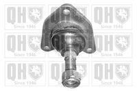 Trag-/Führungsgelenk