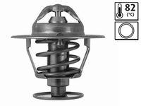 Thermostat, Kühlmittel