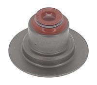 Dichtungssatz, Ventilschaft