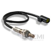 ламбда-сонда