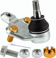 Trag-/Führungsgelenk