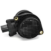 DELPHI Luchtmassameter 8