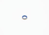 Blīve, Pamatlukturu rāmis