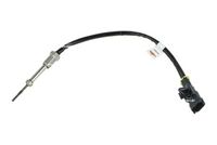 Sensor, Abgastemperatur