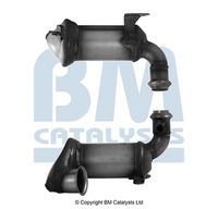 Catalizator BM Catalysts, Cod: BM92748H