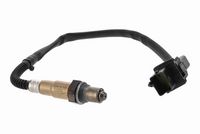 ламбда-сонда