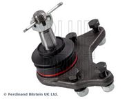 Trag-/Führungsgelenk