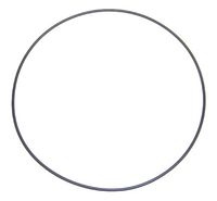 Dichtring