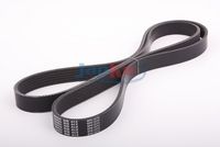 Пистов ремък 6PK1570 JAPKO