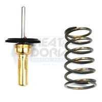 термостат, охладителна течност