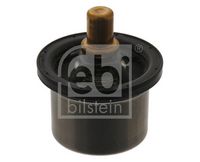 Thermostat, Kühlmittel